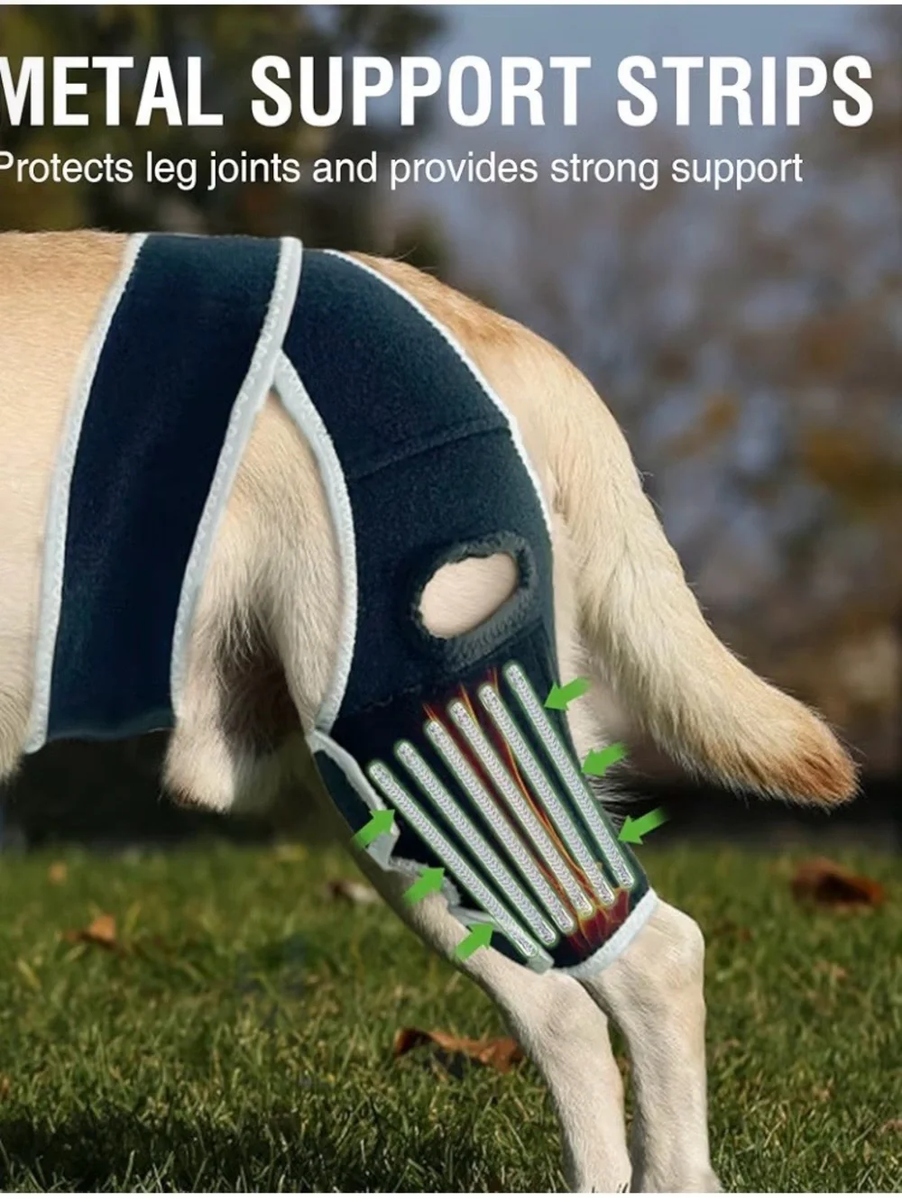 Kisfly Dog Knee Brace